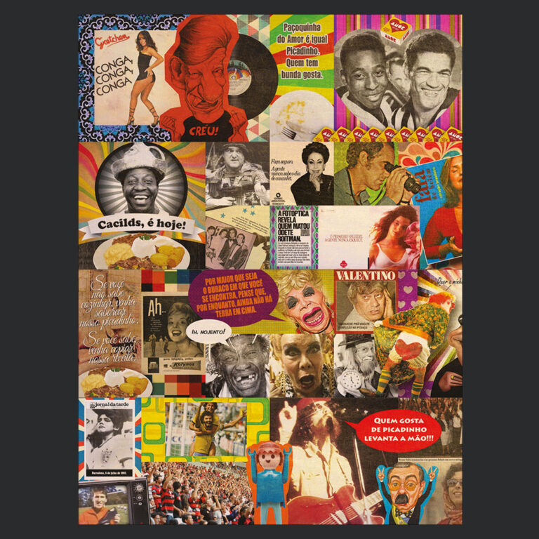 design_de_interiores_reidopicadinho2